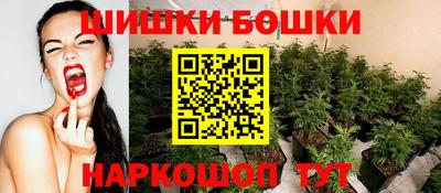 крисы Севастополь