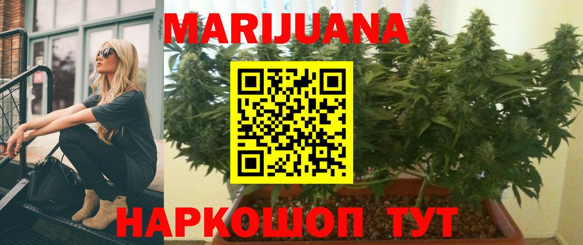 Бошки Шишки Bruce Banner  Бошки Шишки SATIVA & INDICA  Вход с VPN  Светлоград 
